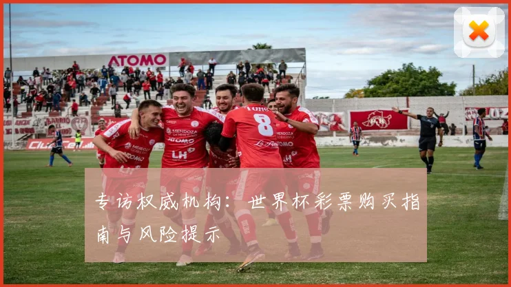 专访权威机构：世界杯彩票购买指南与风险提示