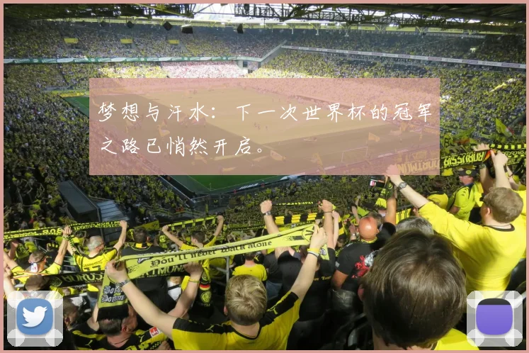 梦想与汗水：下一次世界杯的冠军之路已悄然开启。