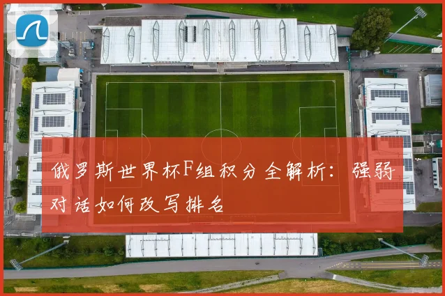 俄罗斯世界杯F组积分全解析:强弱对话如何改写排名