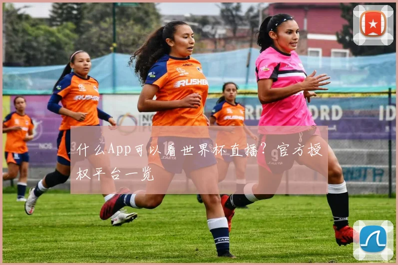 什么App可以看世界杯直播？官方授权平台一览