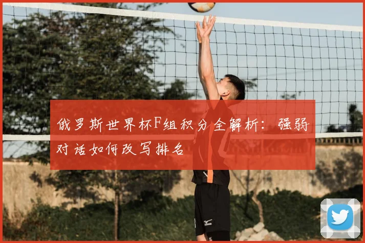 俄罗斯世界杯F组积分全解析:强弱对话如何改写排名