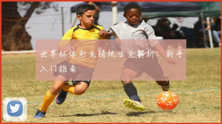 世界杯体彩竞猜玩法全解析:新手入门指南