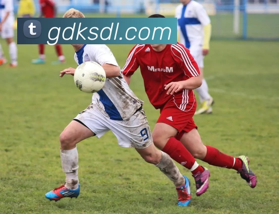 APP界面展示